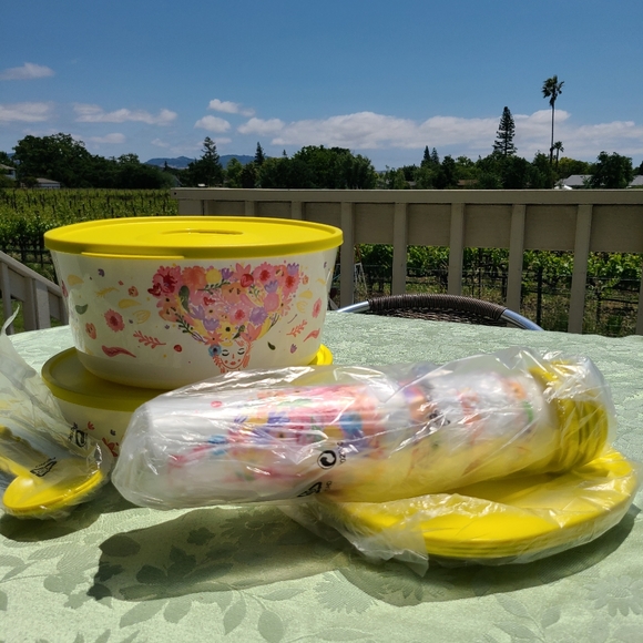 ๐๐ฝ๐ฅฃ NWTโผ๏ธ Tupperware brand Fanciful Floral design Get-It-All-Set - Picture 5 of 10